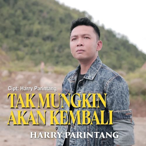 Harry Parintang - Tak Mungkin Akan Kembali