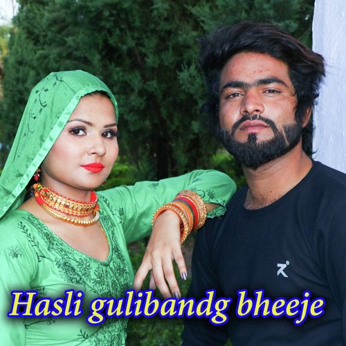 Hasli gulibandg bheeje