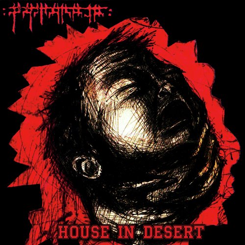 House in Desert