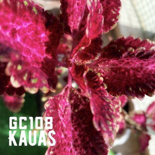 Kauas cover art
