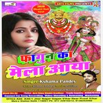 Khatu Shyam Fagun Mela (khatu shyam bhajan)