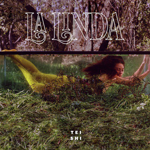 La Linda_poster_image