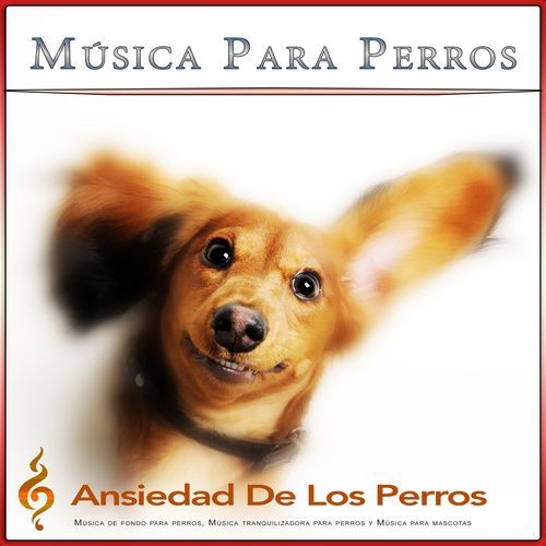 Música para dormir perros y mascotas cover art