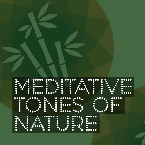 Meditative Tones of Nature