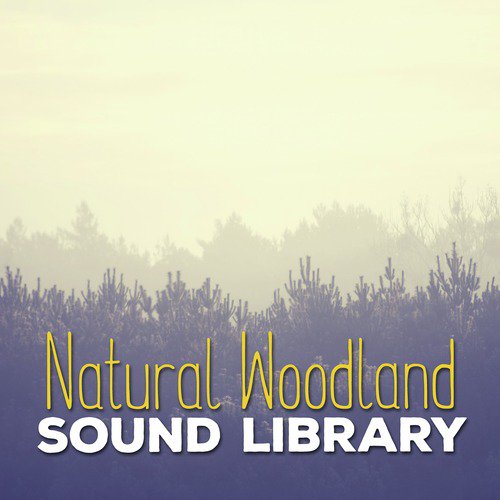 Water Source cover art