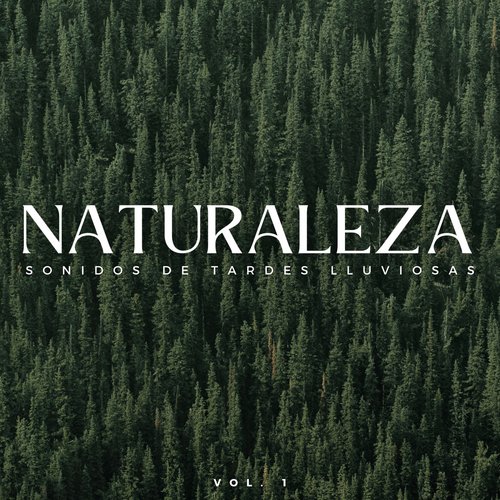Nube De Sueño cover art