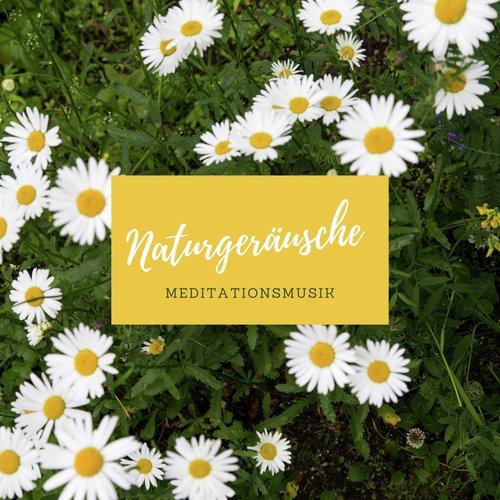 Naturgeräusche Meditationsmusik cover art