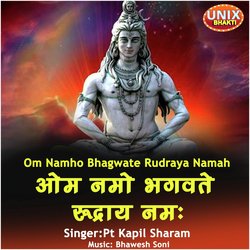 Om Namho Bhagwate Rudraya Namah-OV8eBCJhb3c