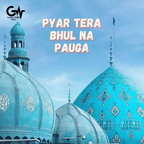 Pyar Tera Bhul Na Pauga (Sufi Qawwali)