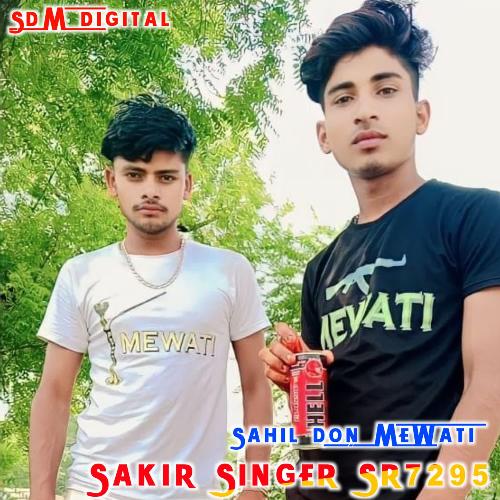 Sakir Singer Sr7295