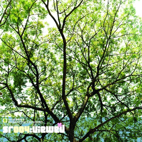 สุขใจ cover art