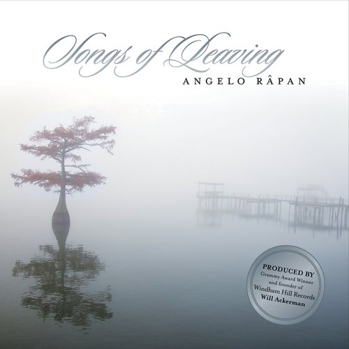 Remember cover art