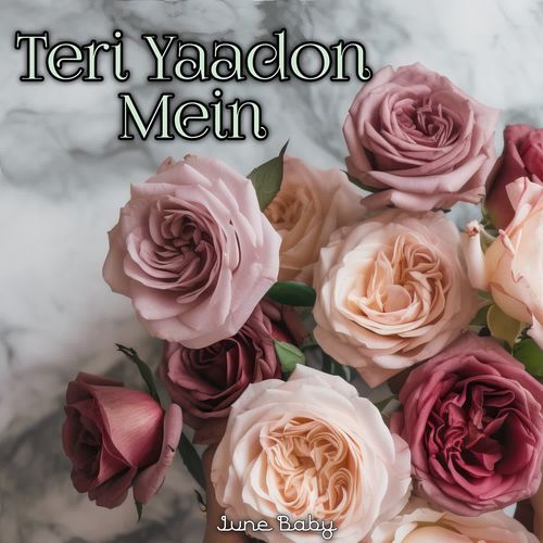 Teri Yaadon Mein