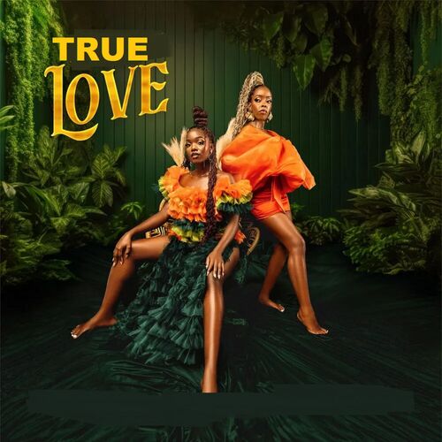 True Love_poster_image