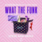 What The Funk (feat. Danny Shah) (Steve Aoki Remix)