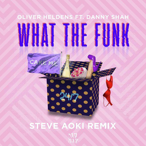 What The Funk (feat. Danny Shah) (Steve Aoki Remix)