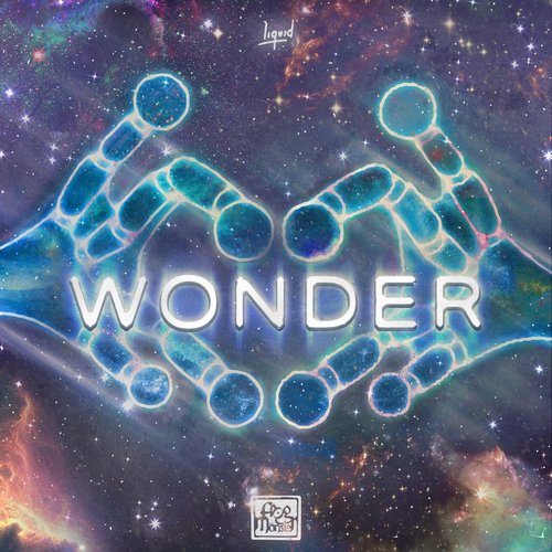 Wonder_poster_image