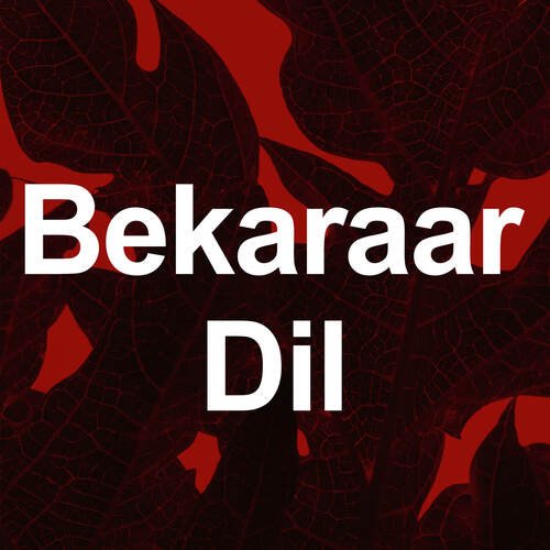 bekaraar dil