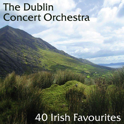 The Dublin Concert Orchestra
