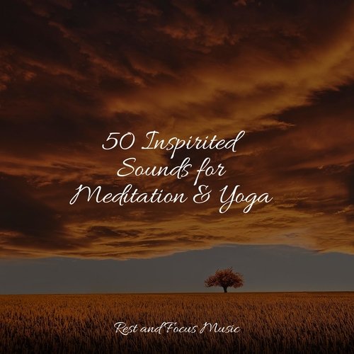 50 Inspirited Sounds for Meditation &amp; Yoga_poster_image