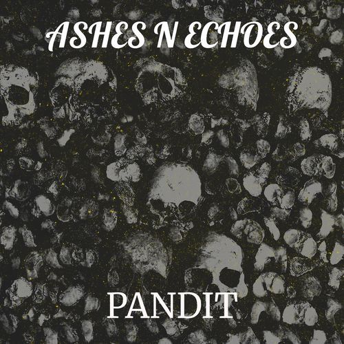 Ashes n Echoes