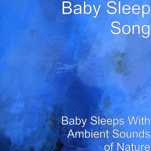 Baby Sleeps With Ambient Sounds of Nature_poster_image