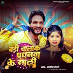 Badi Chalak Pardhanva Ke Sali