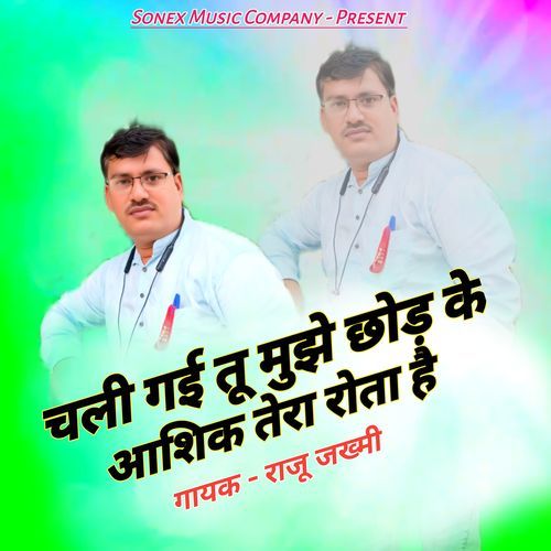 Chali Gai tu mujhe chhod Ke Aashiq Tera rota Hai