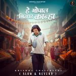 Hey Gopal Girdhar Kanha (Slow &amp; Reverb)