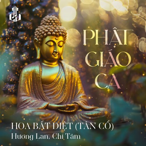 Hoa Bất Diệt (Tân Cổ) (Remastered)