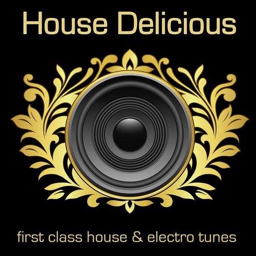 House Delicious 1 (First Class House & Electro Tunes)