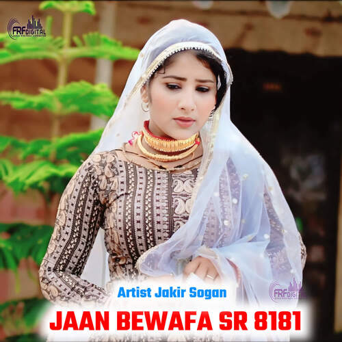 JAAN BEWAFA SR 8181