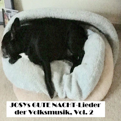 Josys GUTE NACHT Lieder der Volksmusik, Vol. 2