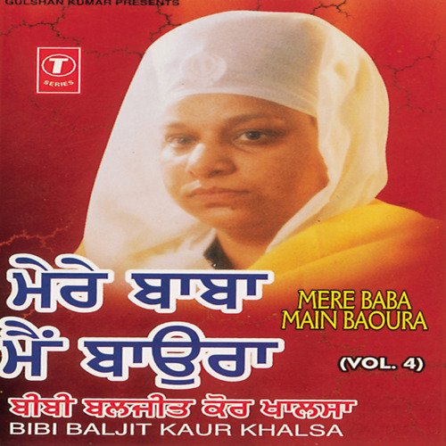 Mere Baba Main Baoura Vol-4