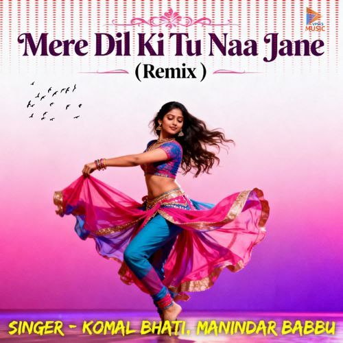 Mere Dil Ki Tu Naa Jane ( Remix )