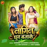Nagin Dhun Baja ke