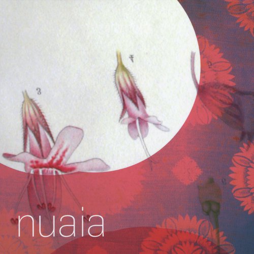 Nuaia