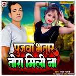 Pujawa Bhatar Tora Mili na (Bhojpuri)