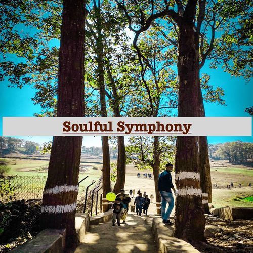 Soulful Symphony