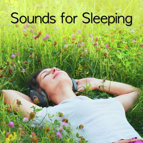 Soft Sleep Waves