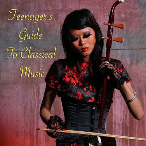 Teenager's Guide To Classical Music