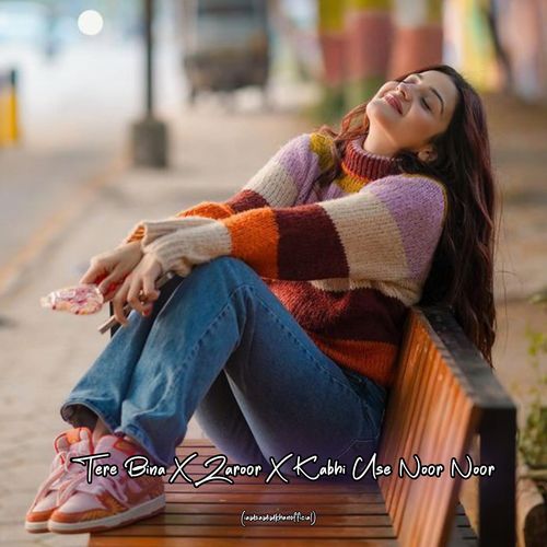 Tere Bina X Zaroor X Kabhi Use Noor Noor