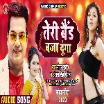 Teri Band Baja Dunga