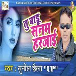Tu Badu Sanam Harjayi