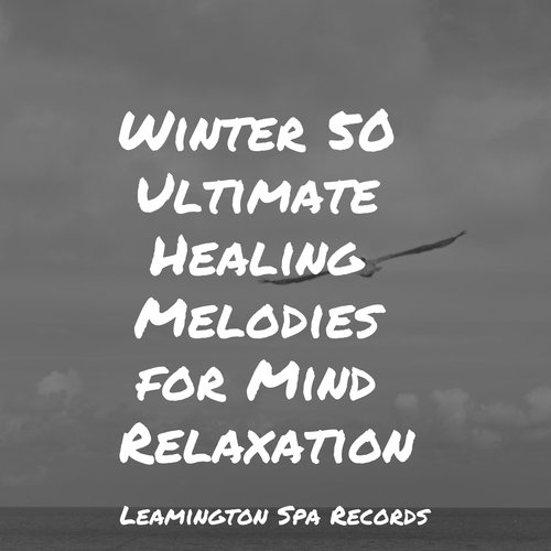 Winter 50 Ultimate Healing Melodies for Mind Relaxation