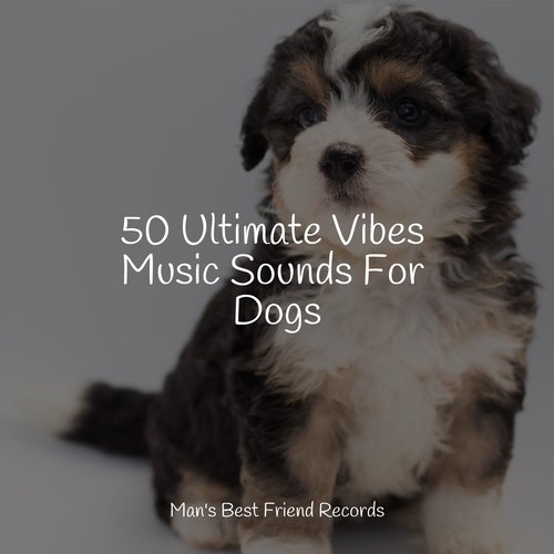 50 Ultimate Vibes Music Sounds For Dogs_poster_image