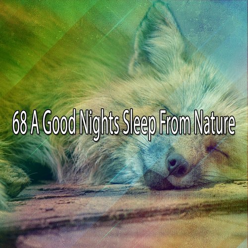 68 A Good Nights Sleep From Nature