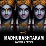 Adharam Madhuram (Slow Reverb)