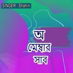 অ মেম্বার সাব