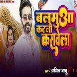 Balamua Katani Karavela